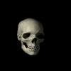 caveira.gif (40167 bytes)