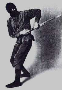 ninja2.gif (37766 bytes)
