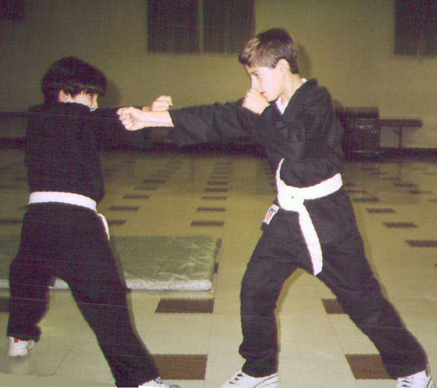 ninjakids.jpg (95611 bytes)